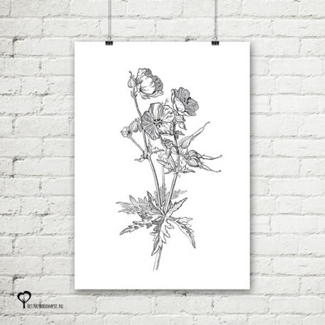 Het Noteboompje poster zwart wit zwartwit zwart-wit zwart/wit botanicals planten urban jungle bloemen pentekening schets