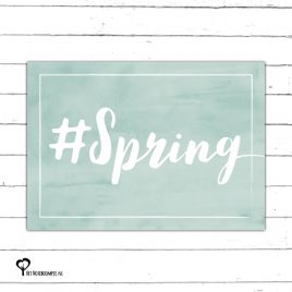 #spring lente voorjaar mooi weer early dew mint groen mintgroen kaart kaartje kaarten het noteboompje a6