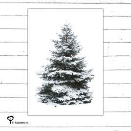 Het Noteboompje kerstkaart christmas christmascard x-mas xmas card spar kerstboom denneboom christmastree tree xmastree sneeuw winter kerst boom